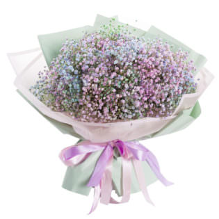 Гипсофила микс 2 (шт)